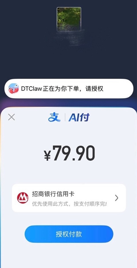 DTClaw AI支付功能示意图
