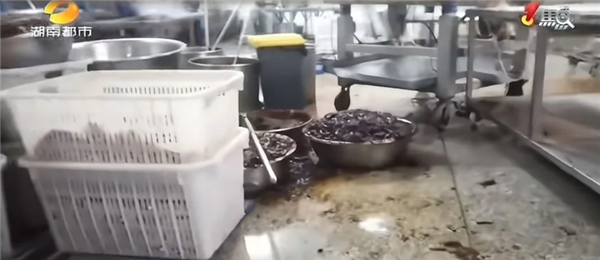 月卖400万的网红零食店 代购比山姆还疯狂