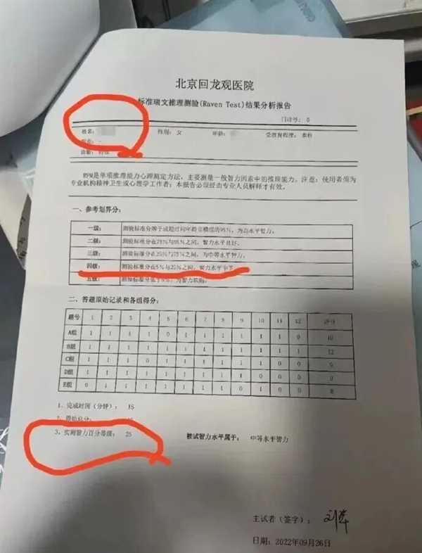 智力测验报告截图