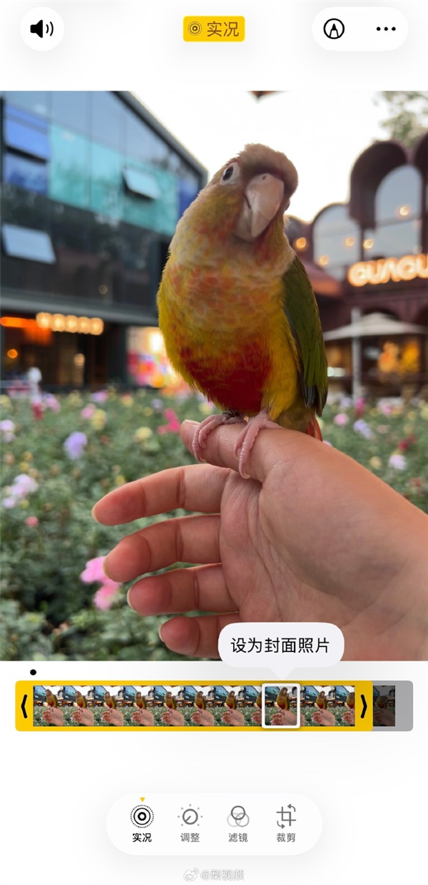 苹果实况图被指精准选丑