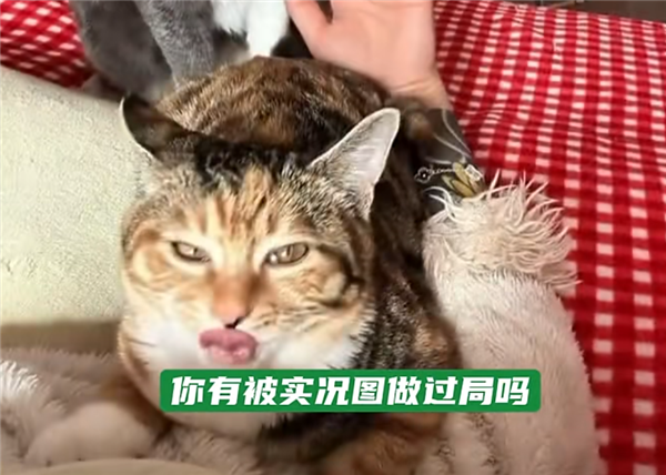 苹果实况图投诉案例