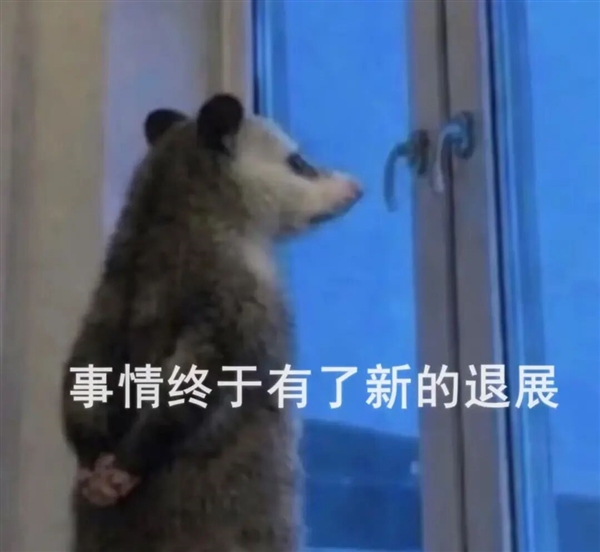 头上长摄像头 就可以拥有月入四千的新副业吗