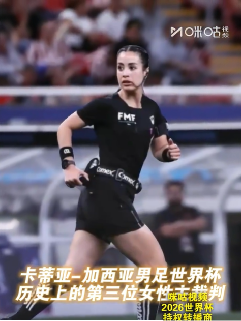墨西哥女裁判职业履历