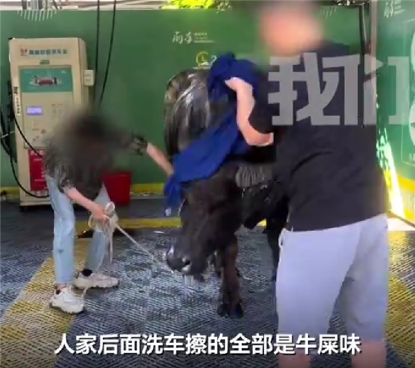 四川一共享洗车站被用来洗牛