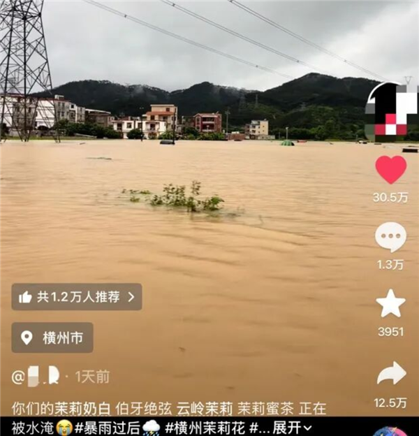 中国茉莉之乡遭遇洪灾 瑞幸蜜雪多家品牌驰援 当地花农:基本已无法采摘