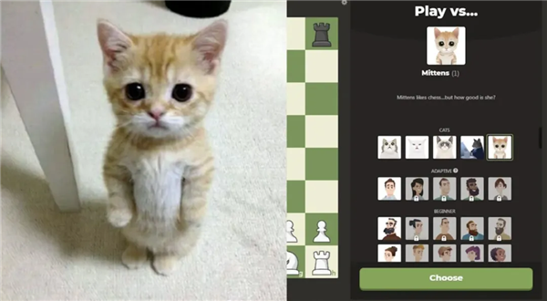 Chess.com的AI小猫Mittens