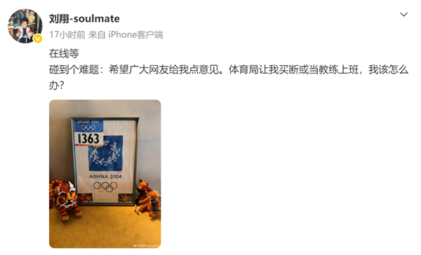 刘翔征求意见截图