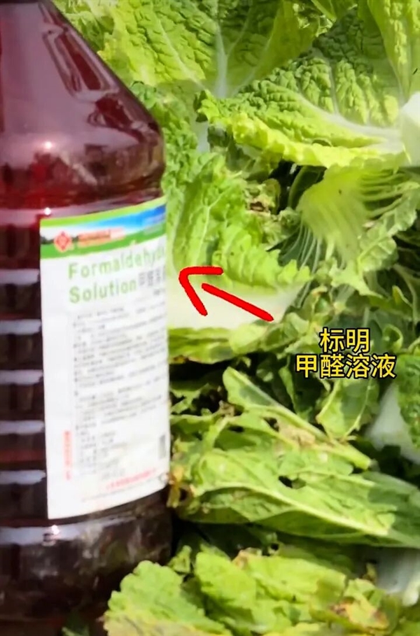 涉事白菜运输场景