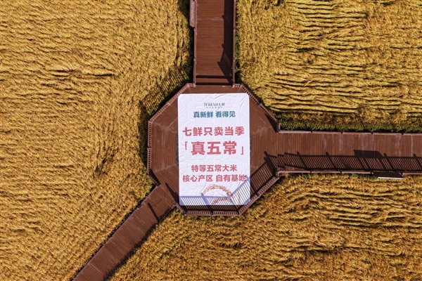 七鲜中秋礼品
