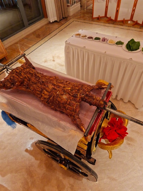 评论区截图